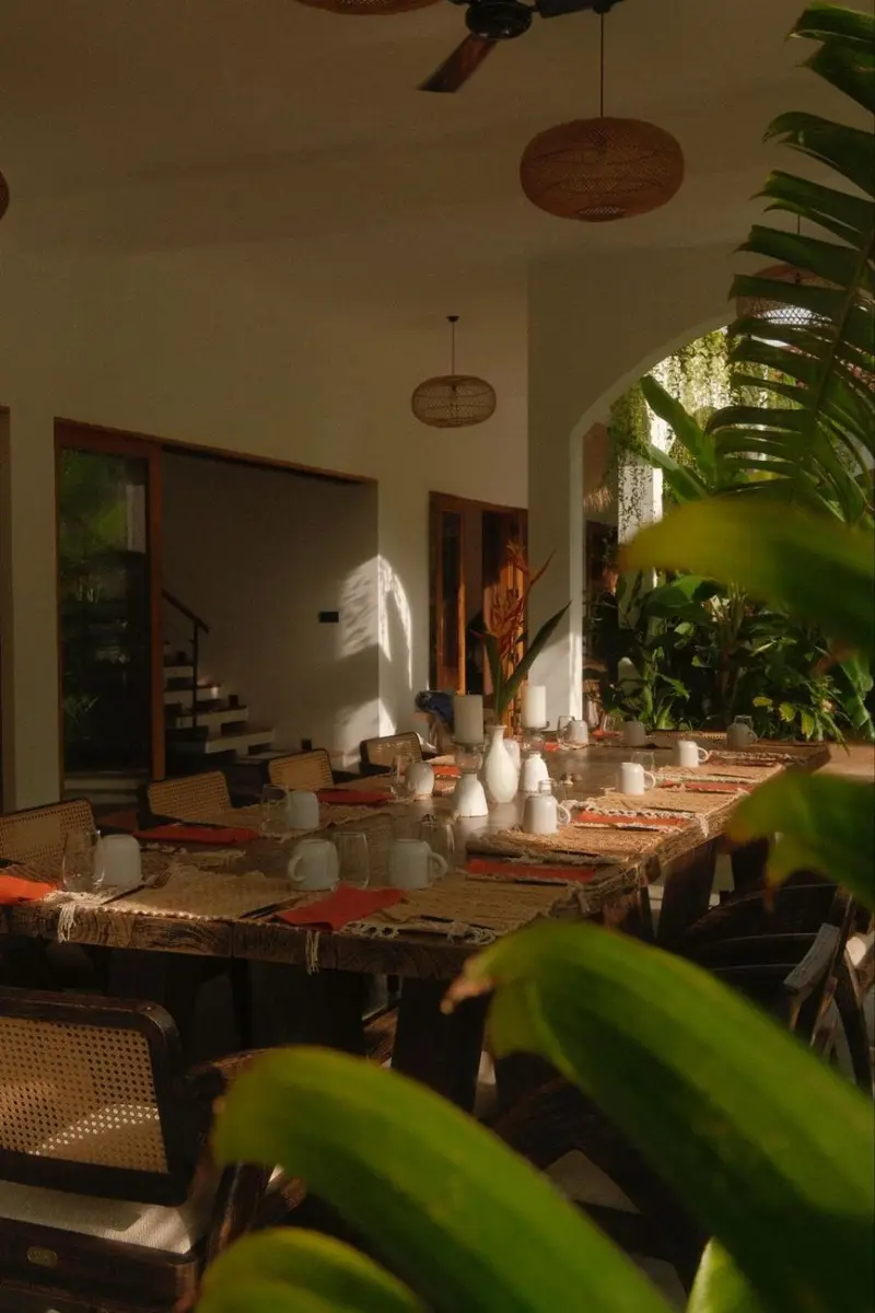 Sunlit dining room with long table and greenery