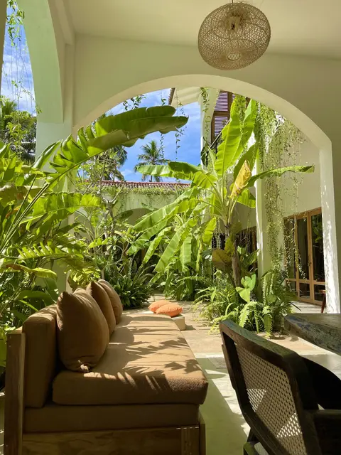 Shaded garden seat under an arch with palms beyond