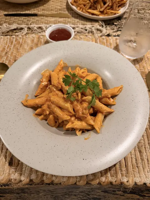 Penne in a rich tomato sauce
