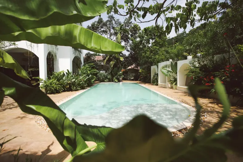 Pool glimpsed through tropical leaves