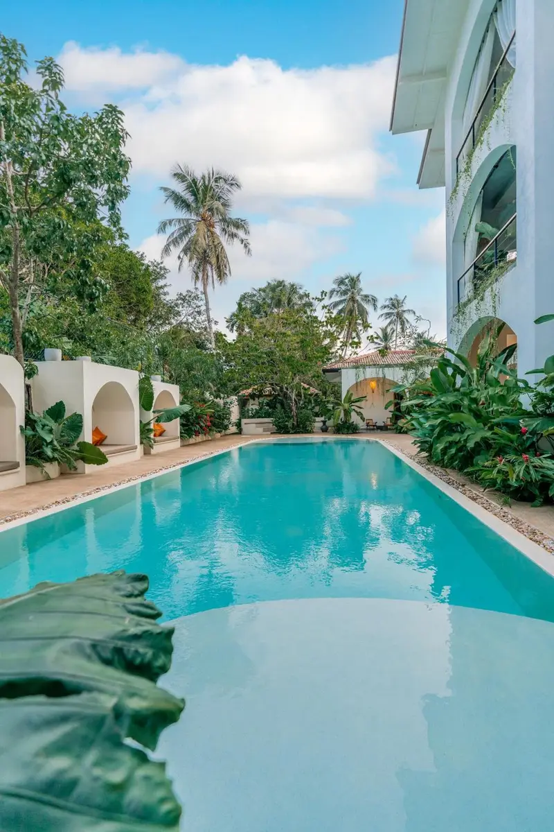 Long turquoise pool edged with palms and garden planting
