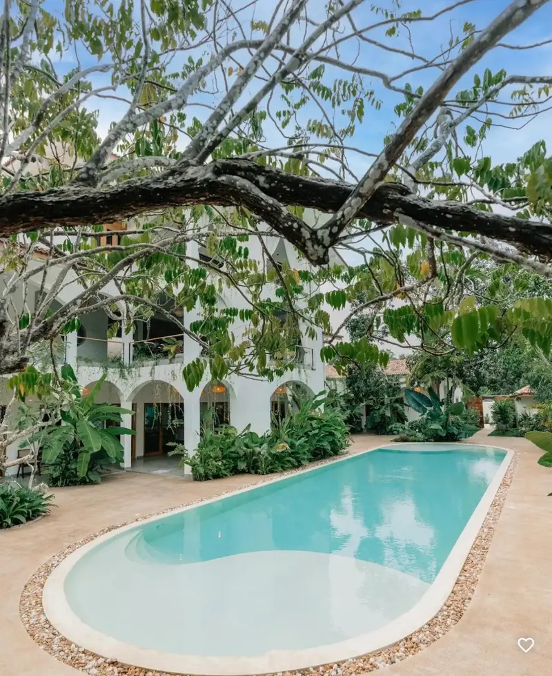 The pool and villa framed by the branches of a garden tree