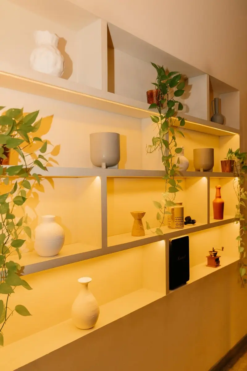 Backlit niches with ceramics and plants