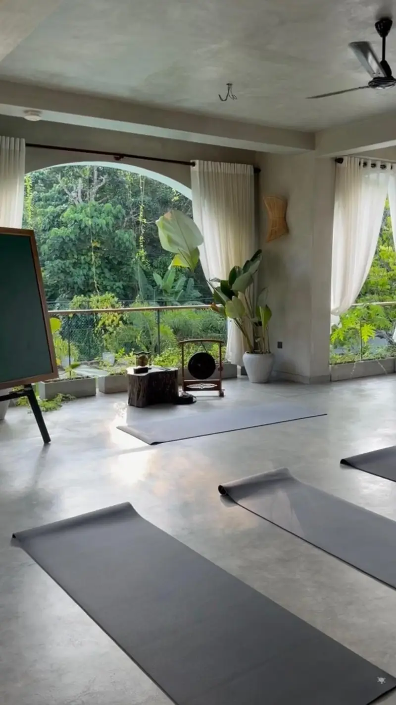 Yoga mats by tall windows open to the trees